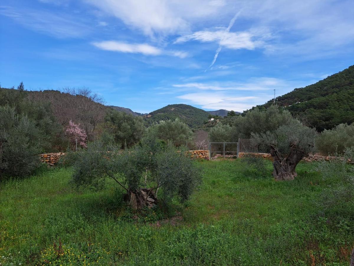 Paraiso Cuantico Eslida ภายนอก รูปภาพ